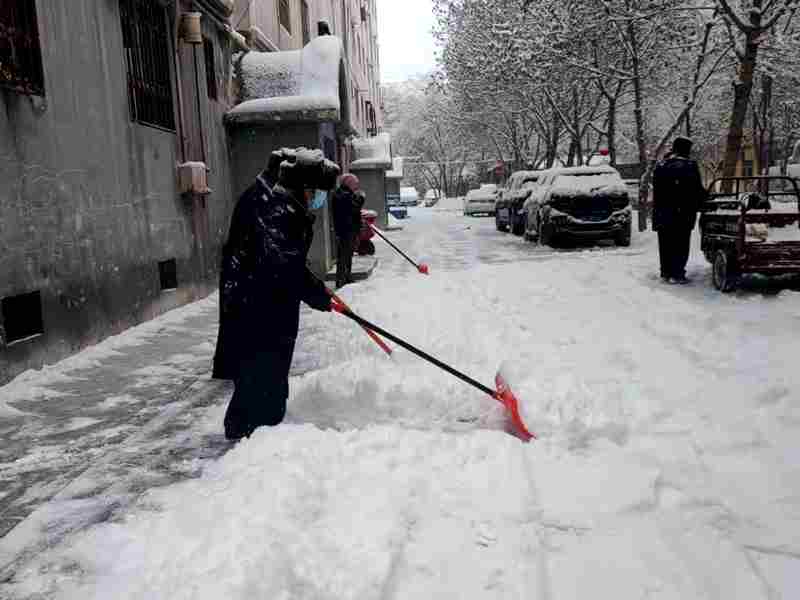 新疆黄金盾保安服务有限公司组织员工 义务扫雪